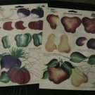 FolkArt One Stroke,Vegetables,Fruit Medley Teaching Guides,reusable FolkArt One Stroke,Vegetables,Fruit Medley Teaching Guides,reusable