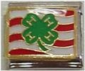 4 H Four H ITALIAN CHARM CLUB ANIMALS COUNTRY CLOVER