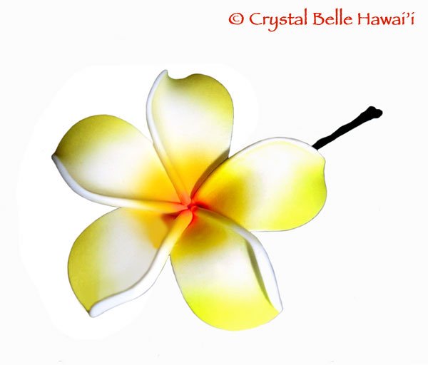 Hawaiian Plumeria/Frangipani Lei Flower Hair Pin, Yellow/White