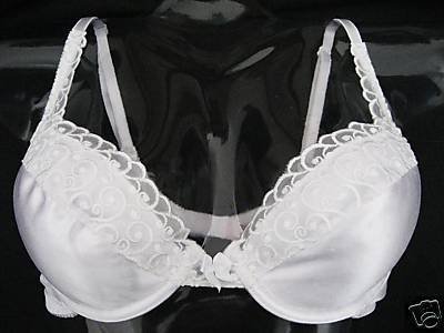 NEW VICTORIA SECRET PUSH UP MIRACLE CLEAVAGE BRA 34C