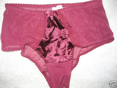 NWT SEXY LACE SATIN SHEER RETRO PANTIES VICTORIA SECRET