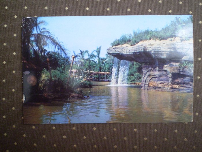 VINTAGE 1950's DISNEYLAND POSTCARD P12357 Jungle Falls