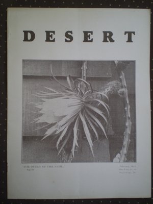 Desert Magazine February 1931 Vol II No. 10 Plants Cacti Flora