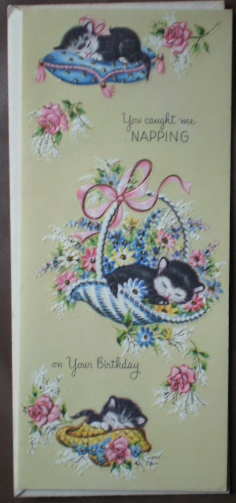 Vintage Birthday Card Cat Kitten Napping Sunshine Card 25x3019 Belated
