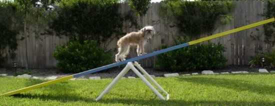 Adjustable Teeter / SeeSaw Base - Dog Agility Equipment