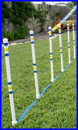 Weave Poles - Dog agility Equipment - Set of 6