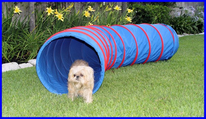 Dog Agility Tunnel - 9' x 22' Dog Agility Equipment