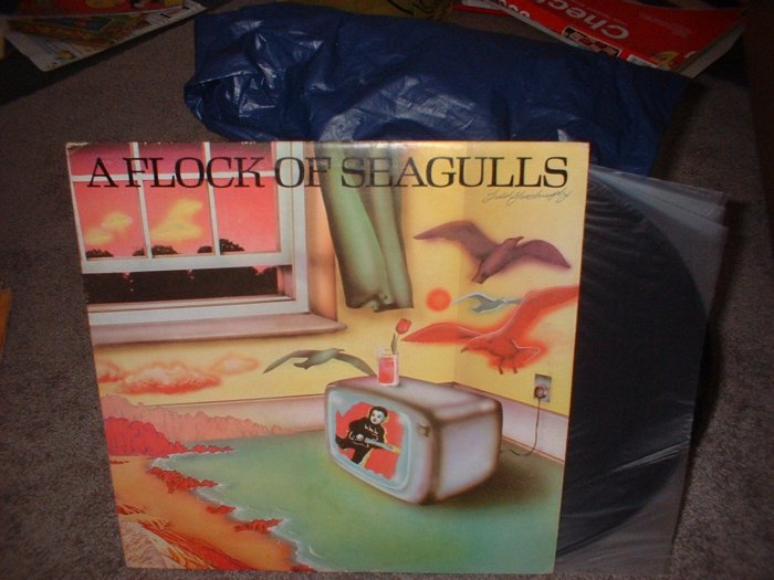 A Flock of Seagulls Record Album Vinyl 1981 (we combine shipping)