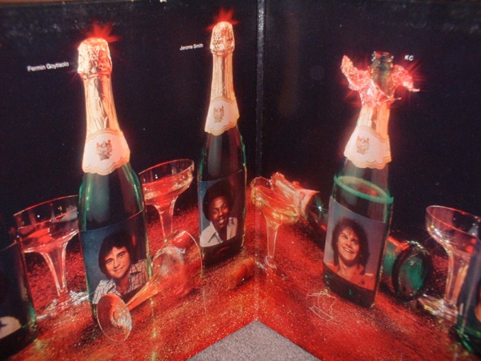 KC & The Sunshine Band "Do you wanna go party" Record Album Vinyl Vintage 1979 (we combine shipping)
