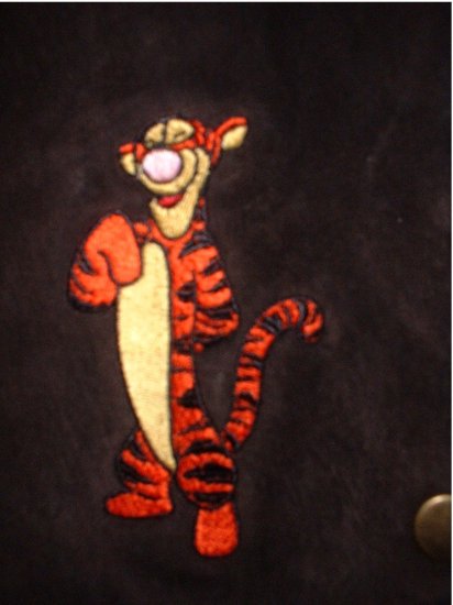 Size Small-Medium *adult* LEATHER VEST. TIGGER. Disney. Winnie the Pooh. SHIPPING INCLUDED!