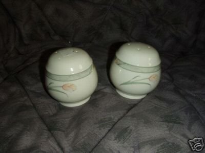 Noritake April Sky 1 Salt and Pepper Set