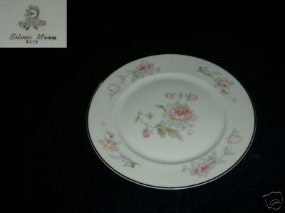 Warwick Silver Moon 2 Salad Plates