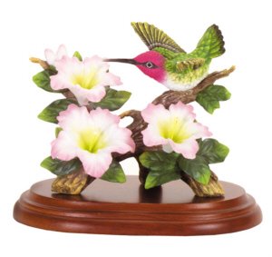 Hummingbird2