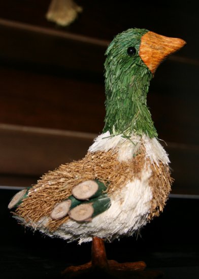 Eco friendly craft - Duck