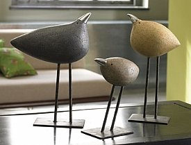 Kiwi Family
