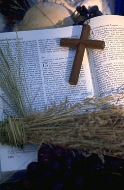 Second Peter - Peters Warning Against False Teachers