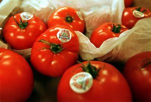 Environmental Science Pesticides