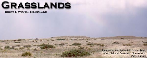 Environmental Science Forests & Grasslands