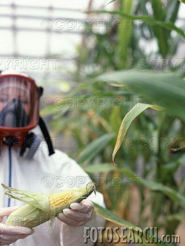 Biology Growth & Development in Plants