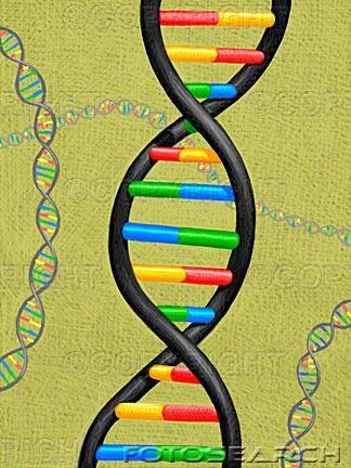 Curriculum Design & Instruction To Teach Biology Social Behavior