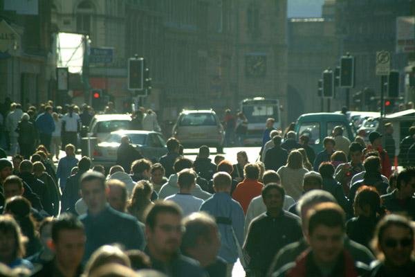 Human Resource Management Diversity in Organizations