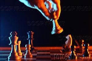 Business Risk Management & Insurance