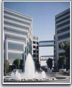 Business Law Buying & Selling Goods
