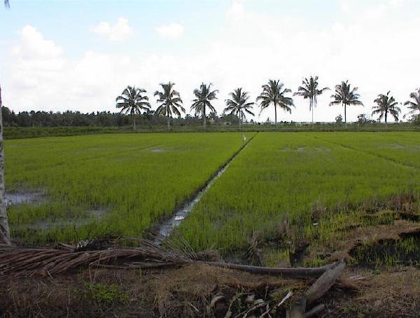 Environmental Geology - Soils & Environment