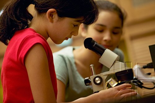 Educational Research - Methods Of Data Collections