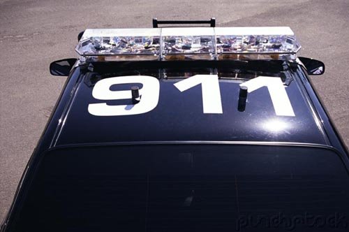 Homeland Security - Domestic Terrorism In America