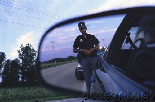 Police Administration - The Police And Politics