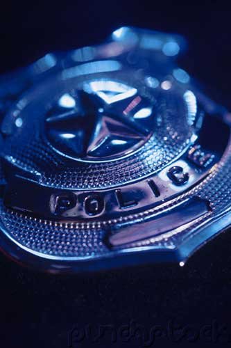 Law Enforcement - Organization - Police-Courts & Corrections