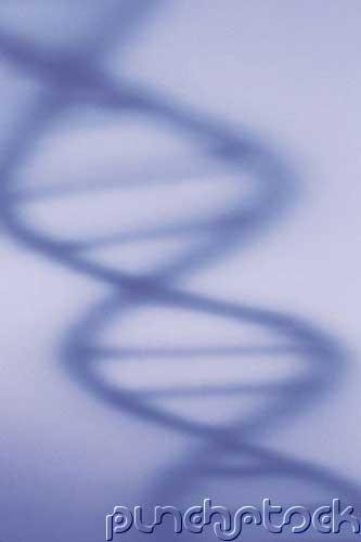 Science - The New Science of Life