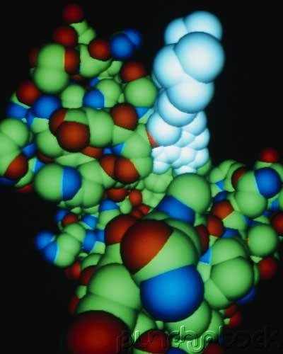 Science - Molecules of Life