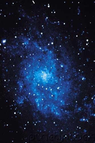 Science - The Ordered Universe