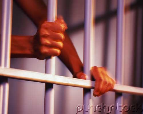 American Corrections - The Correctional Client