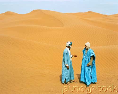 History Of The Arabs - Scientific & Literary Progress