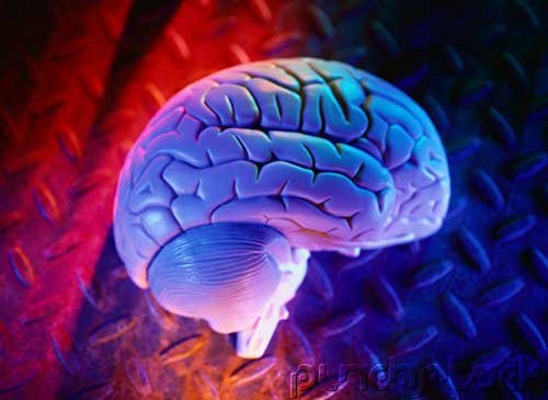 Sigmund Freud - Nature And Origins Of Anxiety