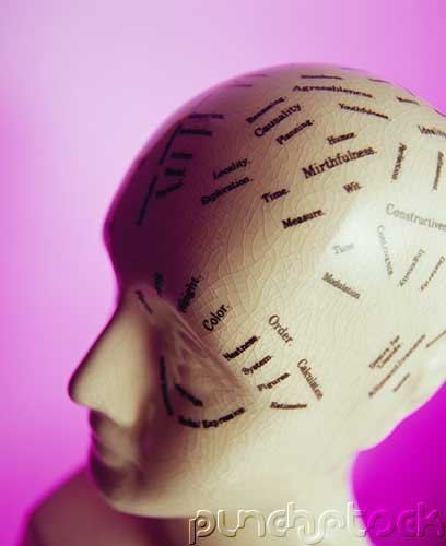 Memory & Cognition - Language Comprehension & Memory