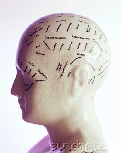 Memory & Cognition - Concept Formation & Memory