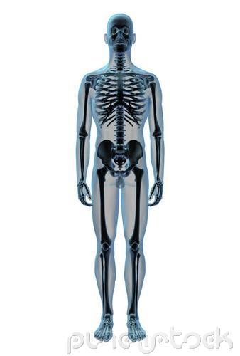 Human Sexuality - Sexual Bodies