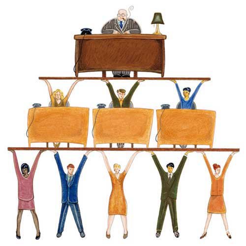 The Meaning Of Sociology - Social Organization