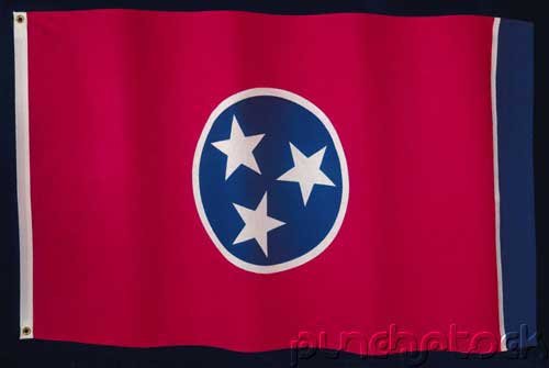 Curriculum Design-Instruction To Teach Tennessee State History