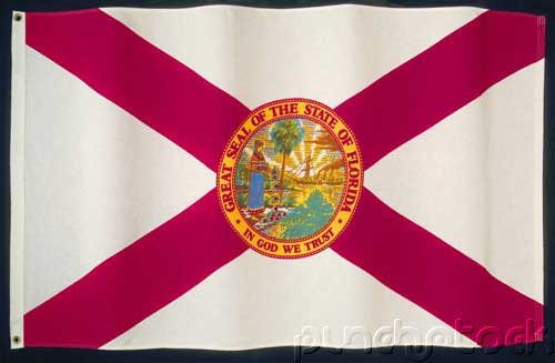 Florida State Constitution - For State & Federal Examinations
