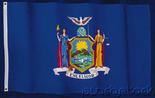 New York State Constitution - For State & Federal Examinations