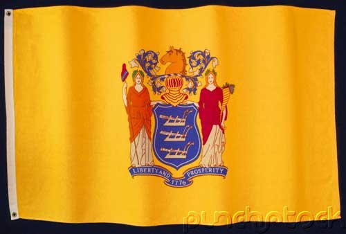 New Jersey State Constitution - For State & Federal Examinations