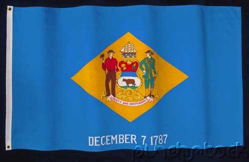 Delaware State Constitution - For State & Federal Examinations