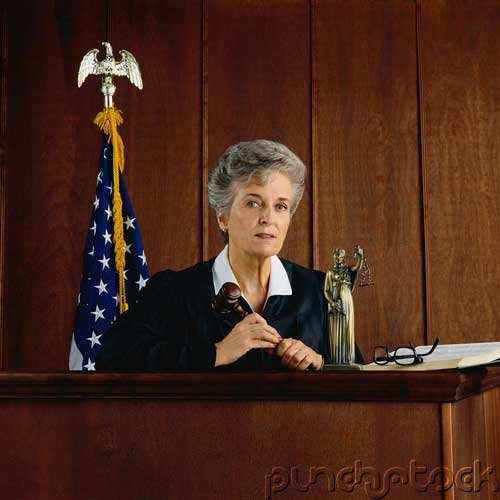 Business Law - Those Who Judge