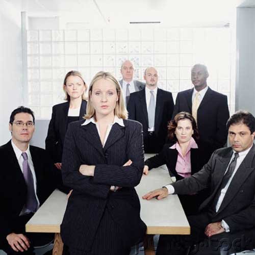 Business Law - Directors - Officers & Dissolution