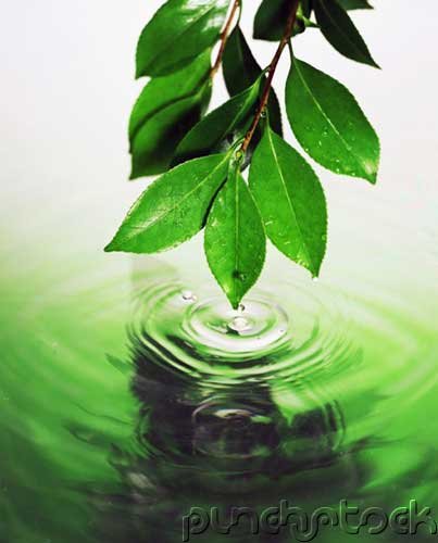 Philosophy - Nature Of Philosophy - Pre-Socratic Philosophers